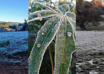 Emiten alerta por heladas en Misiones: cuáles serán las zonas afectadas