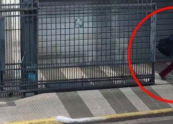 A plena luz del día y “en vivo”: así cayó un ladrón en Posadas