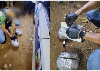 Alba Posse: detectaron centro de acopio de marihuana en un campamento de “pescadores”