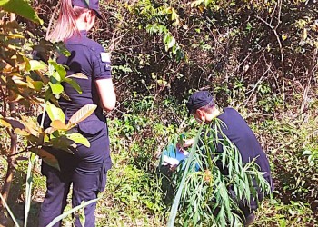 Mataron a puñaladas a una joven mbya en la comunidad Yryapú, su expareja fue detenido