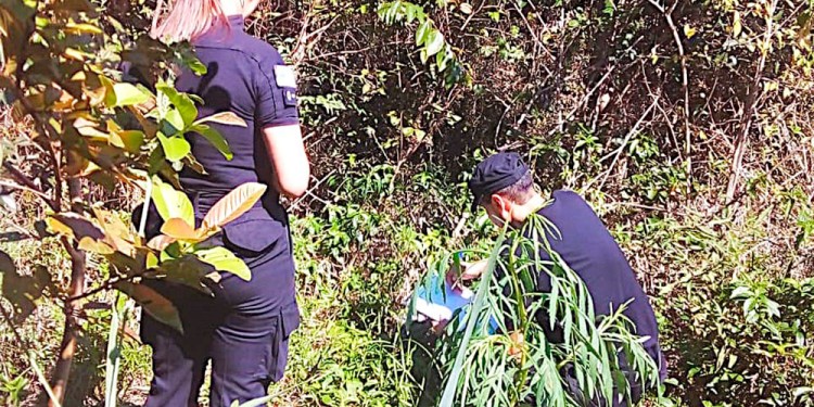 ESCENA. Personal de la Unidad Regional V completó las pericias en el lugar donde quedó el cuerpo de la víctima.
