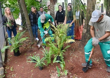 Caraguatá y helechos en la plaza: “Atraemos biodiversidad a la ciudad”