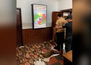 Lo detuvieron por robar más de 60 pacúes y un carpincho