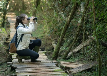 Buscan voluntarios para colaborar en reservas naturales misioneras
