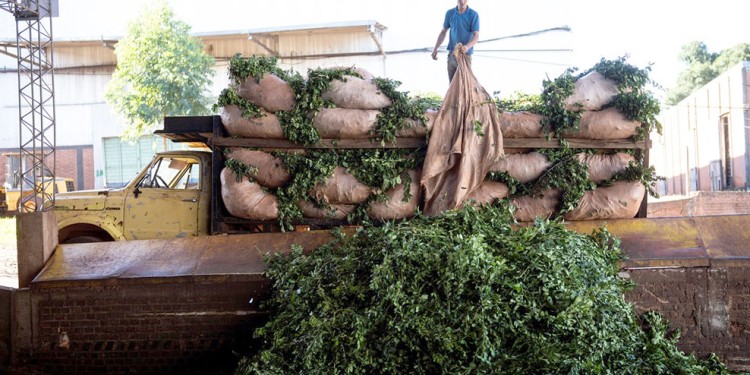 PREOCUPACIÓN. Retomarán las asambleas en diferentes puntos de la provincia para visibilizar sus padecimientos.