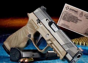 Tenencia express de armas: “Facilitar el trámite no quiere decir desregular el mercado”