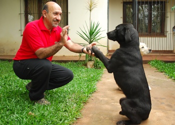 Mario Rosillo, el perito que une la ciencia y el olfato de canes para buscar a los que faltan