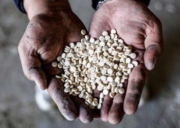 La Triple Frontera de Misiones “es el punto caliente” para el ingreso del temido Captagón al país