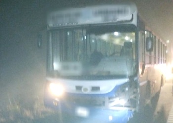 Choque fatal en la ruta nacional 14: fueron identificadas las víctimas