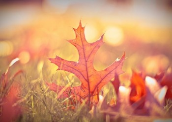 Cromoterapia: colores para  vencer el “dejar para después”