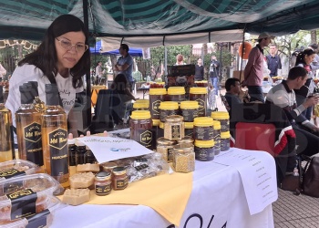 Productores celebran el Día Mundial de las Abejas con una feria en la plaza 9 de Julio