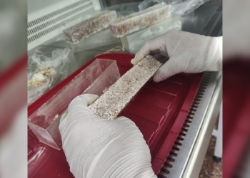 Con hongos misioneros exploran la base de un futuro sostenible con menos plásticos