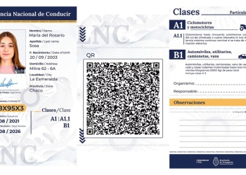 Ya rige la licencia nacional de conducir digital y su renovación de forma online