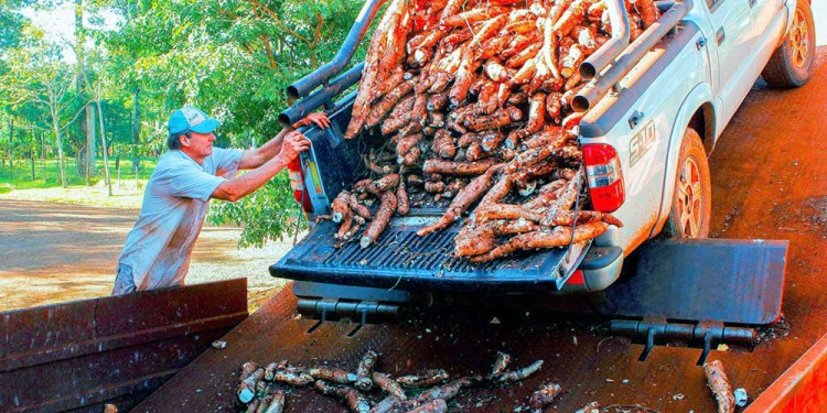 PRODUCCIÓN EN CRISIS. Bajas expectativas para la campaña 2026.
