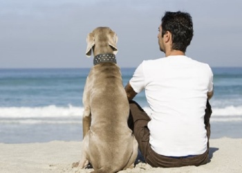 Algunos datos sobre el mejor amigo