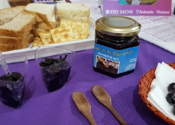 Taller para aprender a elaborar mermelada y jalea del fruto del árbol de palmito