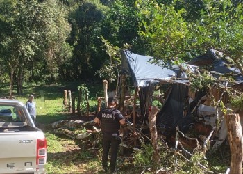Eldorado: hombre falleció luego de que un árbol cayera sobre su casa