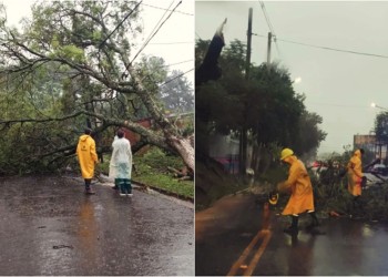 Temporal: la Municipalidad desplega operativos de asistencia en Posadas