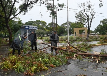 Piden colaboración a los vecinos para despejar los árboles y ramas caídas