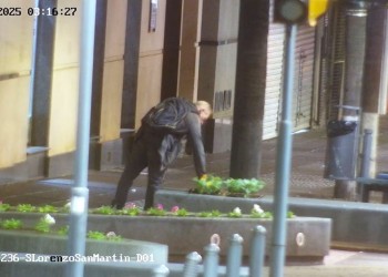 Fue captado por las cámaras robando plantas en pleno centro de Posadas y terminó detenido