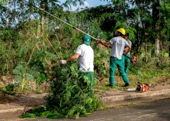 Suspendieron el operativo de podas hasta completar el despeje del exceso de ramas