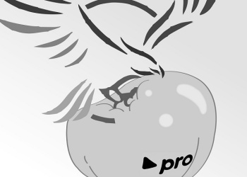 De Primera Mano: Amarillos, violetas… blancos