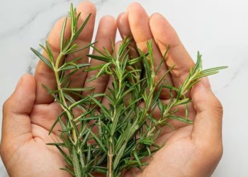 Cómo es el rito del romero para atraer la abundancia