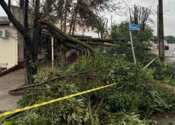 Vientos de más de 160 km/h: confirman que una microexplosión impactó en ciudad vecina a Misiones