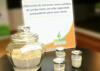 Extractos de yerba mate: una alternativa para desarrollar productos  y sumar consumidores