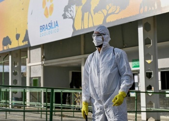 Brasilia cierra el zoológico y despliega una barrera sanitaria como prevención ante la gripe aviar