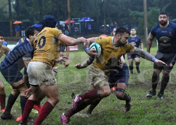 CAPRI sufrió otra dura caída