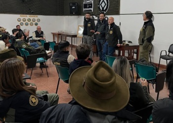 Reunión por atropellamiento de fauna en el Parque Nacional Iguazú