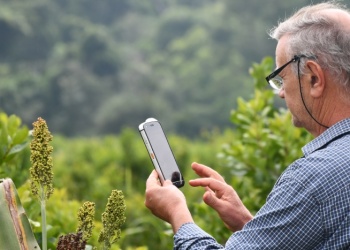 AgTech y agricultura de precisión para la yerba mate