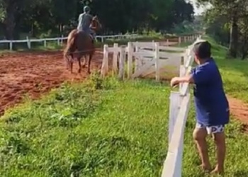 Aunque no existe norma que las prohíba, frenan las carreras hípicas en Aristóbulo