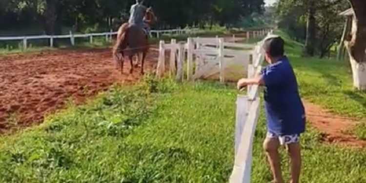OPOSICIÓN POR OPOSICIÓN. No existe disposición, pero para prohibirlas se argumenta en supuesto rechazo del Ministerio de Gobierno.