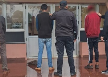Tres detenidos en Oberá por robo de yerba mate y madera nativa
