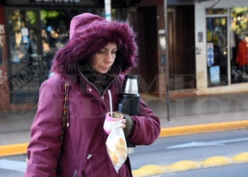 Cuadros respiratorios: la gripe A H1N1 sigue en ascenso en el país