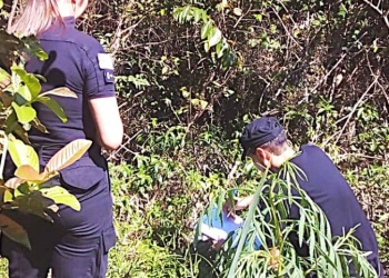 Hallaron semen en Juana Maciel e intentan determinar si fue abusada