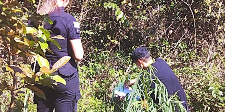 EL PEOR DESENLACE. El cuerpo de la joven madre fue hallado por un familiar en un trillo, a metros de su domicilio.