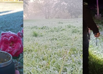 “Lo bueno de esta helada, es que fue una helada blanca”