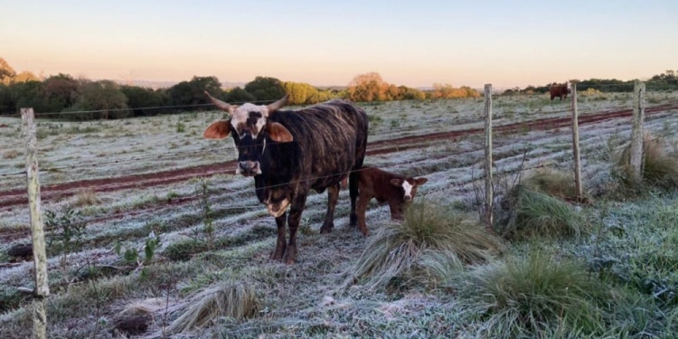 (Foto gentileza Héctor Olexyn).