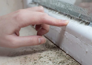 ¿Cómo impacta en la salud la humedad alta en el hogar?