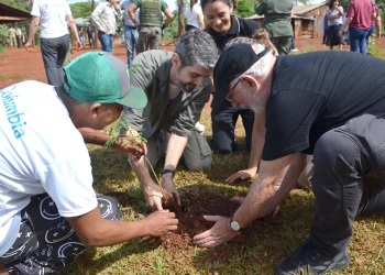 Comenzó en Puerto Libertad una nueva etapa del plan para plantar 100 mil árboles nativos en Misiones