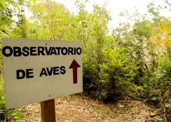 Misiones fortalece el ecoturismo con un nuevo observatorio de aves en Colonia Alberdi
