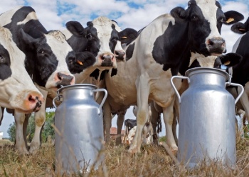 Advierten que los precios de los lácteos retrocederán a fin de año