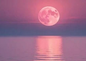 “Hasta el viernes podremos disfrutar de la luna de fresa”