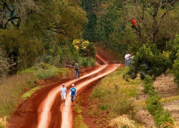 “Allá ité”, “amarillento”: ¿Los misioneros hablamos mal?