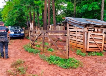 Piden llevar a juicio a los acusados por el asesinato de Hohenstatt