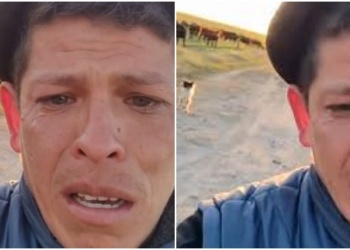 Echaron a peón rural y solo salió a despedirlo el perro: “pobrecito”