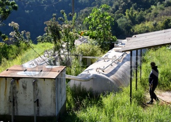 Alarma por planta cloacal: contamina y atrae alimañas